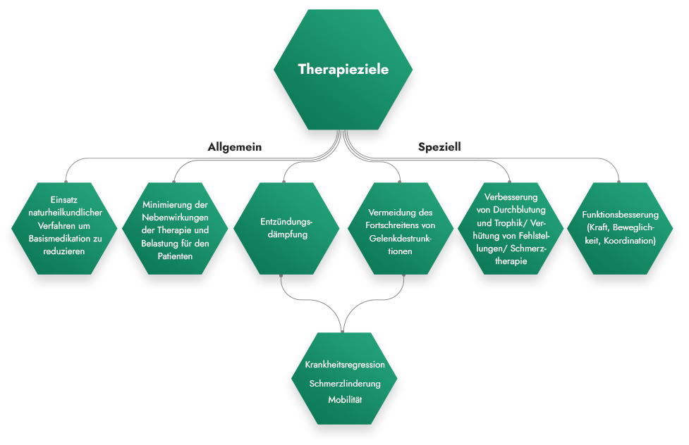 Therapieziele
